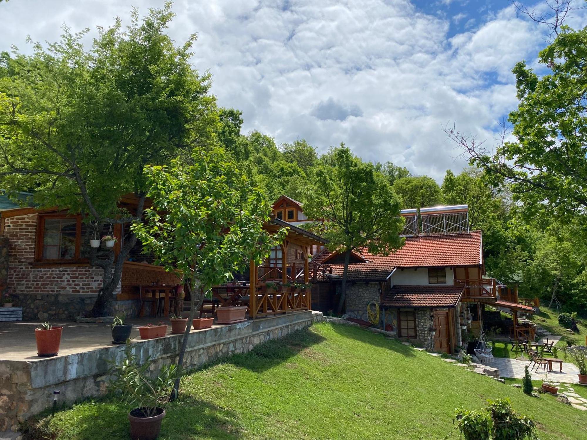 אוהריד Paradise Nest מראה חיצוני תמונה